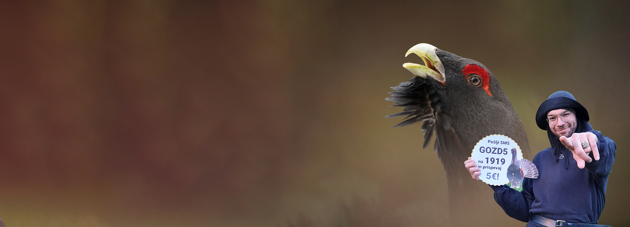 divji_petelin_foto-Novak_slide_ziga_5