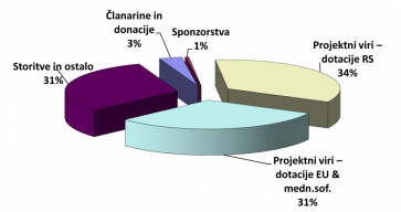 Struktura prihodkov društva v letu 2013