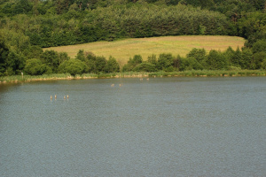 Hodoško jezero