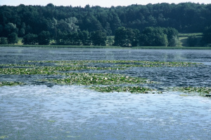 Jezero Komarnik