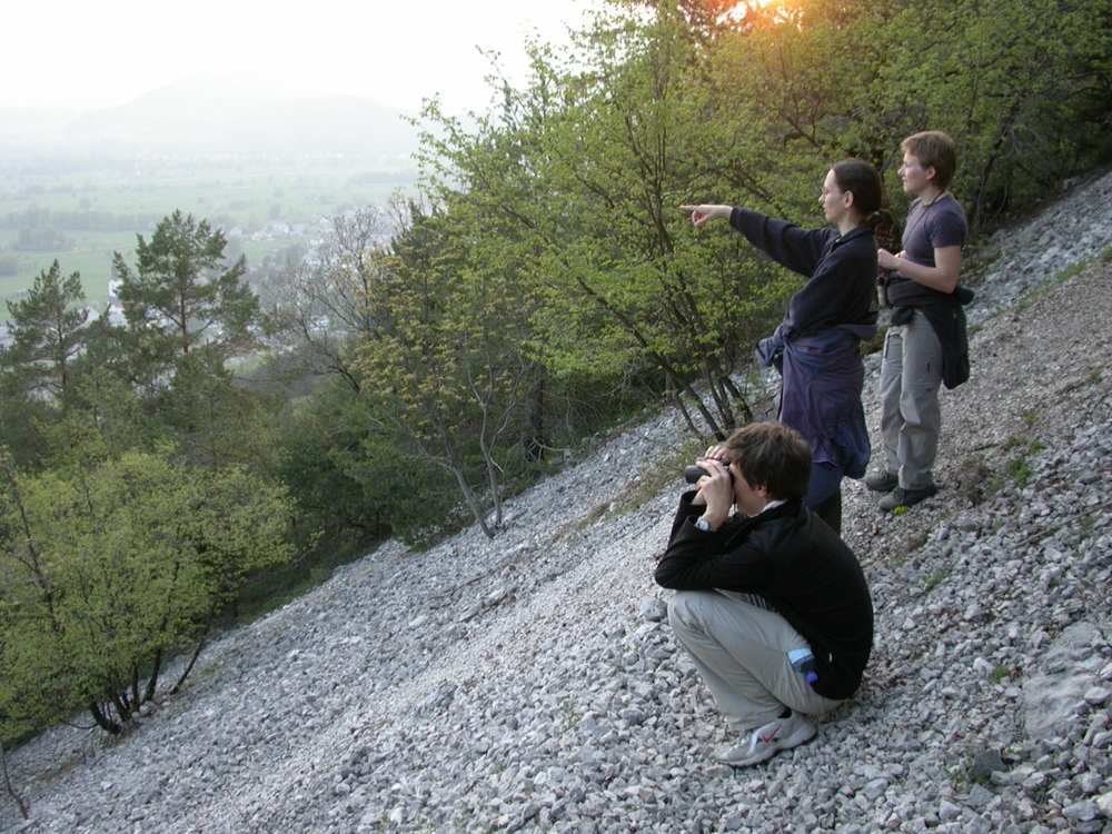 Field surveys and assisting with researc