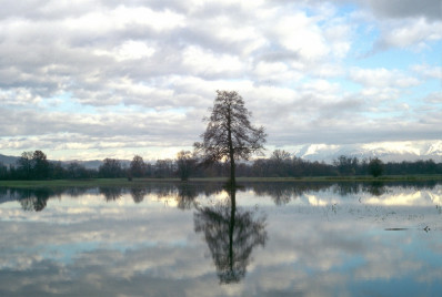 Ljubljansko barje