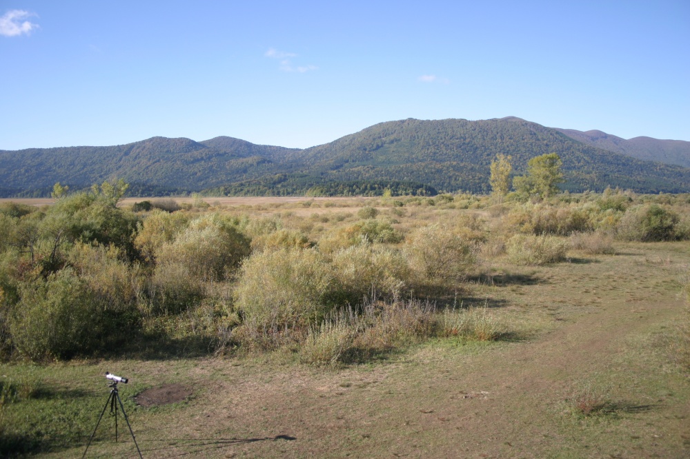 Ustanovna skupščina DOPPS