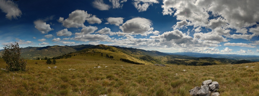 Ustanovna skupščina DOPPS