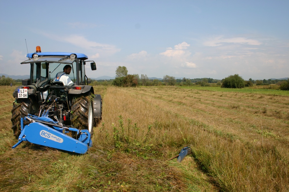 Ustanovna skupščina DOPPS