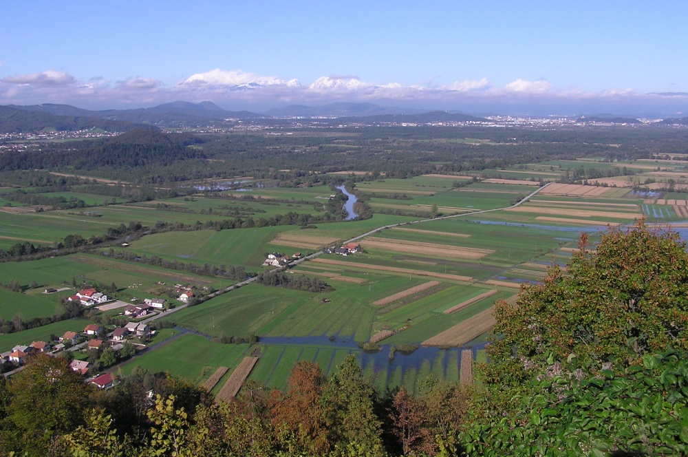 Ustanovna skupščina DOPPS