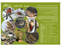 2009, Ptice okoli nas: Preštejmo ptice v svoji okolici