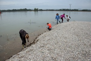 Udeleženci so pregledali tudi Mali otok, na katerega so delavci v okviru projekta LIVEDRAVA nasuli novo plast proda.