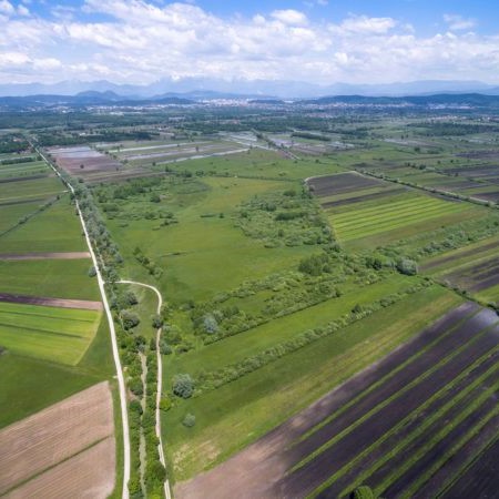 Trajnostni modeli kmetovanja na območjih Natura 2000 mogoči z izboljšanjem upravljanja in razvoja kmetijstva