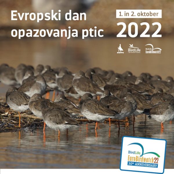 Evropski dan opazovanja ptic 2022