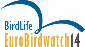 Evropski dan opazovanja ptic – neverjetni podvigi ptic selivk