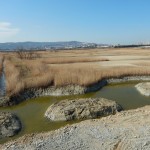 Poglobitve dna za vodno površino pred centrom za obiskovalce, foto: Borut Mozetič