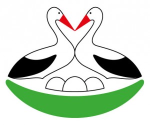 strk_logo_
