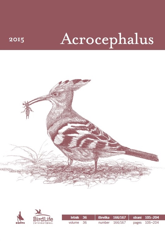 Acrocephalus