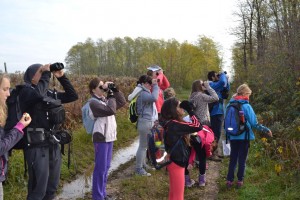 Opazovanje ptic, foto: Anja Ivanuš