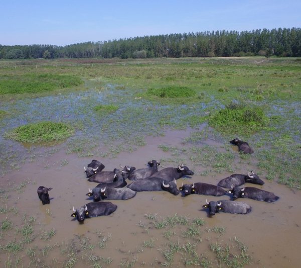 Slavnostna otvoritev NR Ormoške lagune