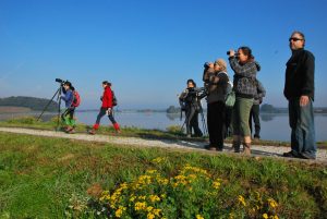 Opazovanja ptic na Gajševskem jezeru se je udeležilo 15 ljudi. foto: Gregor Domanjko