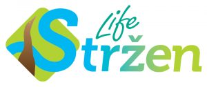 LifeStrzen