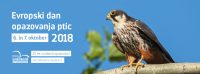 Evropski dan opazovanja ptic