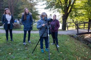 V Mariboru smo se podali spoznavat ptice Mestnega parka. Foto: Tilen Basle