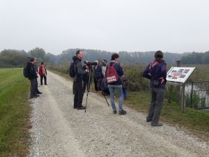 Opazovanje ptic v Naravnem rezervatu Ormoške lagune. Foto: Eva Horvat