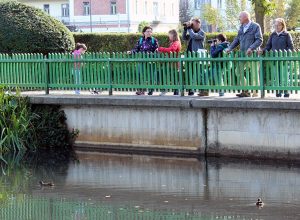 V parku Tivoli v Ljubljani smo spoznavali vrste ptic, ki so se nekoliko bolj približale ljudem. Foto: Saša Eržen