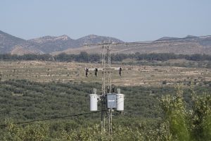 EThe electricity pylon on which Srečko slept every night, not far from the spot where he died. Photo: Tilen Basle