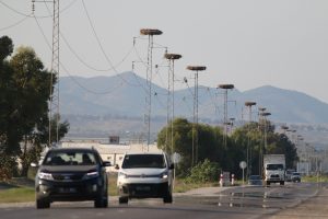 Gnezda belih štorkelj so v Tuniziji pogost prizor, saj je njena populaciaj tukaj zelo številna. Foto: Alen Ploj