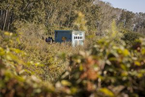 NR Ormoške lagune so bile odete v jesenske barve. Foto: Eva Horvat