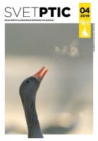 Zimska številka revije Svet ptic