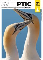 Pomlad in z njo pomladna številka revije Svet ptic