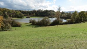 Malo Zagorsko jezero je eno izmed pivških pogosteje pojavljajočih se presihajočih jezer. Leži na obrobju terase ob reki Pivki med naseljema Zagorje in Drskovče. V njegovi bližini sta Veliko Zagorsko in Veliko Drskovško jezero. foto: Tina Kirn