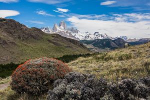 Nič nenavadnega, da ta del za mnoge sodi med najlepše predele Andov. Razgibana pokrajina, klima in živa bitja, ki bivajo pod Fitz Royem in Cerro Torrom, pričarajo poseben občutek prvinskosti in surovosti. 