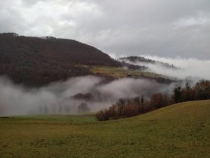 Mali detel za življenjski prostor izbira odprto krajino, v kateri se prepletajo manjši sestoji gozda ali posamezna drevesa, najdemo pa ga tudi v parkih in v bližini potokov ali rek. foto: Tomaž Berce