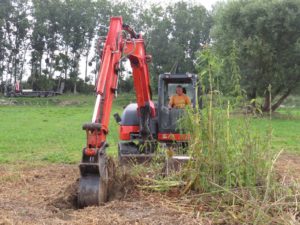 Removing of stumps. Photo: Dominik Bombek