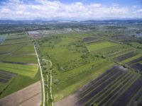 Trajnostni modeli kmetovanja na območjih Natura 2000 mogoči z izboljšanjem upravljanja in razvoja kmetijstva