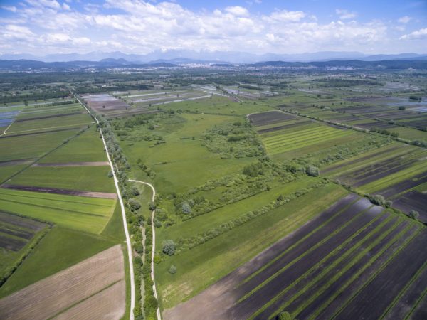 Nakup 1,1 hektarja povr&scaron;in v NR I&scaron;ki morost
