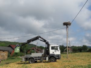 Gnezdo v Zburah. Foto: Urša Gajšek