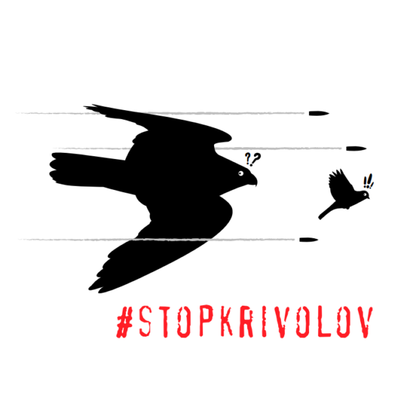 Poročilo o nezakonitem lovu in ubijanju ptic v Sloveniji za leto 2020