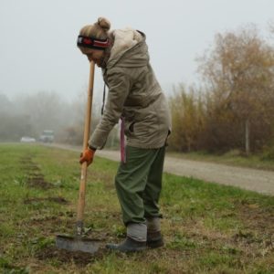 Izkop lukenj za mejice. Foto: Alen Ploj