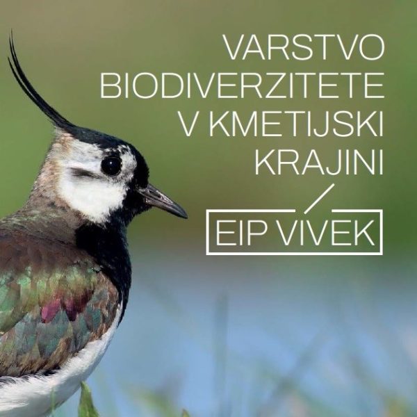 Izšel je priročnik Varstvo biodiverzitete v kmetijski krajini – EIP VIVEK