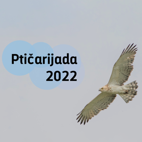 Ptičarijada 2022