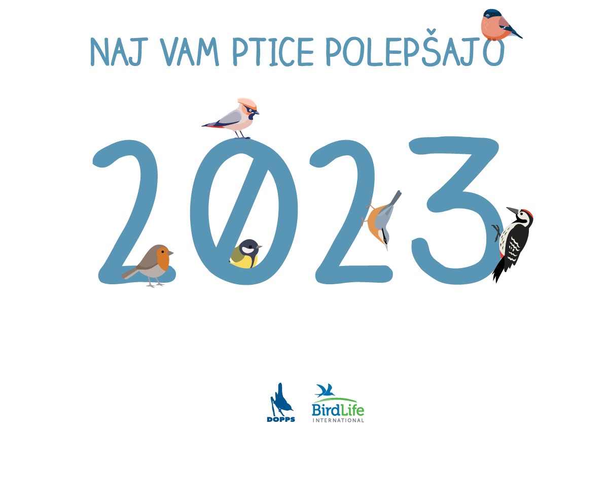 Naj vam ptice polepšajo 2023! | DOPPS