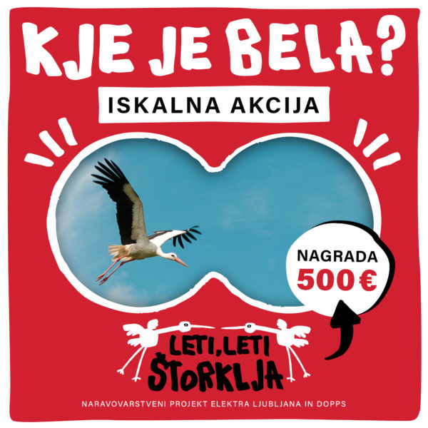 Kje leti, leti štorklja Bela?