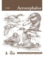 Acrocephalus, 2020, letnik 41, številka 186/187